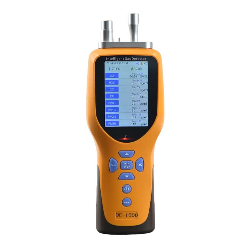 Pump-sunction portable gas detector