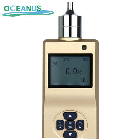 portable gas detector 002 450.jpg